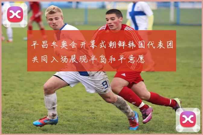 平昌冬奥会开幕式朝鲜韩国代表团共同入场展现半岛和平意愿