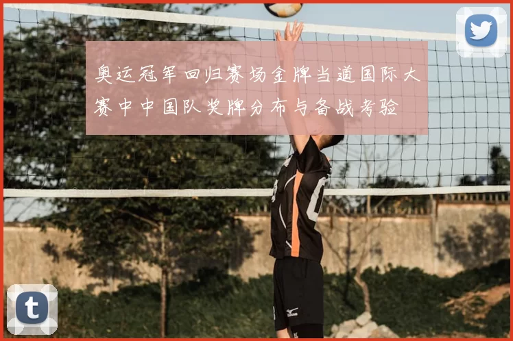 奥运冠军回归赛场金牌当道国际大赛中中国队奖牌分布与备战考验