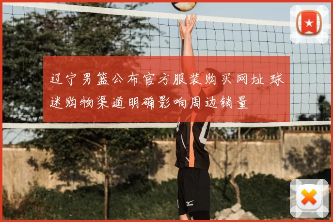 辽宁男篮公布官方服装购买网址 球迷购物渠道明确影响周边销量
